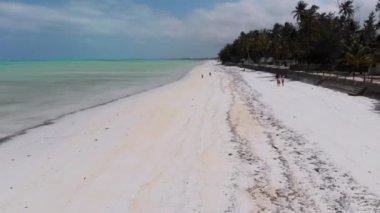 Cennet Sahili Otelleri, Palmiye Ağaçları, Zanzibar, Hava Manzaralı Okyanus Kıyısı