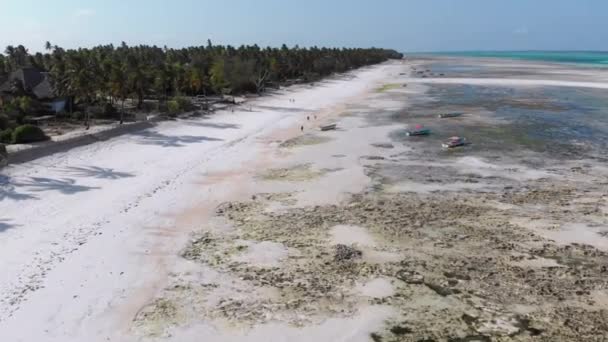Spousta rybářských lodí uvízlých v písku u pobřeží při odlivu, Zanzibar, letecký pohled — Stock video