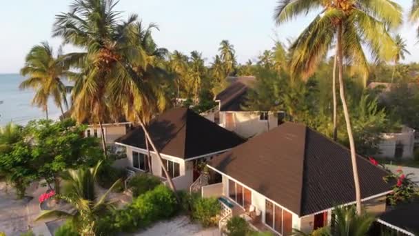 按海洋、桑给巴尔、空中景观分列的带棕榈树和宾馆的天堂海岸度假胜地 — 图库视频影像