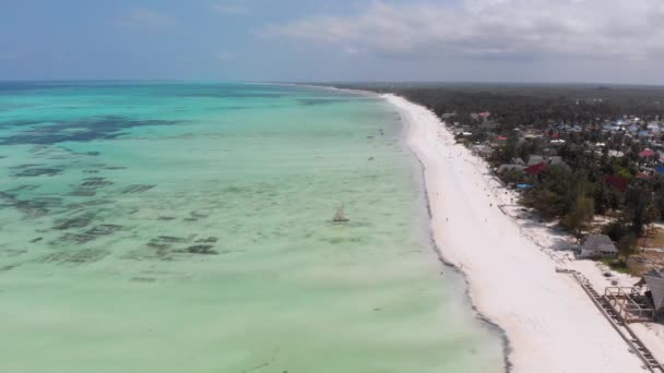 Ocean Coastline with Paradise Beach Hotels and Palm Trees, Zanzibar, letecký pohled — Stock video