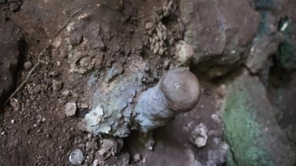 Grotte souterraine de Kuza avec des formations rocheuses stalagmites, Zanzibar — Video