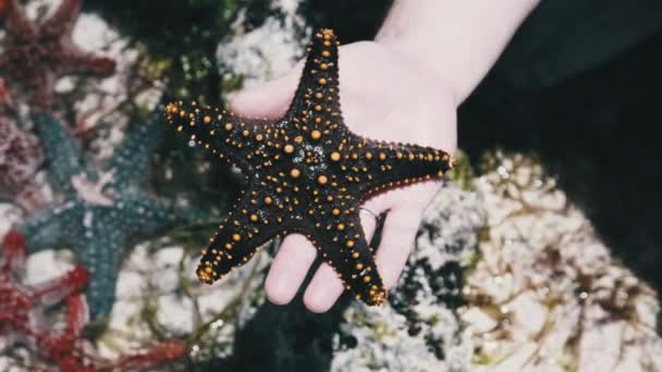 Mão de Mans segura uma estrela-do-mar amarela sobre água transparente do oceano por recife de coral — Vídeo de Stock