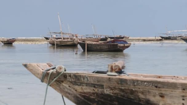 Tradiční africký dřevěný člun uvízlý v písku na pláži při odlivu, Zanzibar — Stock video