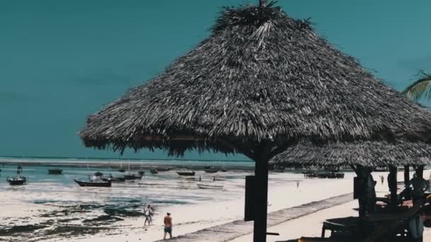 Θατράπηκαν ομπρέλες στην αμμώδη παραλία από τον ωκεανό στο Low Tide, Ζανζιβάρη, Αφρική — Αρχείο Βίντεο