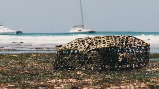 Αφρικανική παγίδα για την αλίευση ψαριών και αστεριών στο ρηχό νερό, χαμηλή παλίρροια, Zanzibar — Αρχείο Βίντεο