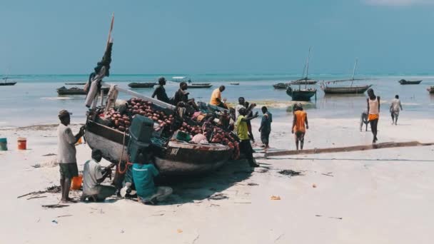 Spousta místních afrických rybářů v blízkosti dřevěné rybářské lodi Dhow na písečném pobřeží — Stock video