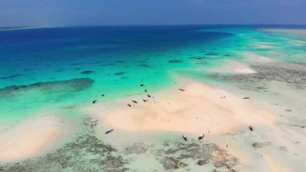 Sandbanker i mitten av oceanen vid Tropical Island Mnemba, Zanzibar Flygfoto — Stockvideo