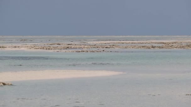 Üres trópusi sziget strand fehér homokkal és tiszta vízzel az óceánban, Zanzibár — Stock videók