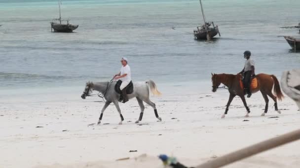 Ridning på en tropisk strand längs havskusten, Zanzibar — Stockvideo