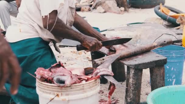 Lokalni afrykańscy rybacy wycięli złowione ryby na targu rybnym przy Ocean Beach, Zanzibar — Wideo stockowe