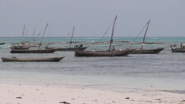 Viele traditionelle afrikanische Holzboote am flachen Strand von Ocean Beach Sansibar verankert — Stockvideo