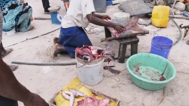 Lokalni rybacy afrykańscy Sprzedaj świeże połowy na targu rybnym przy Ocean Beach, Zanzibar — Wideo stockowe