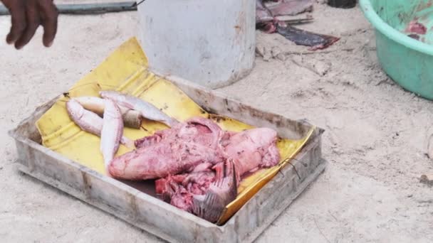 Local African Fishermen Cut Caught Fish on Fish Market by Ocean Beach, Zanzibar — Stock Video