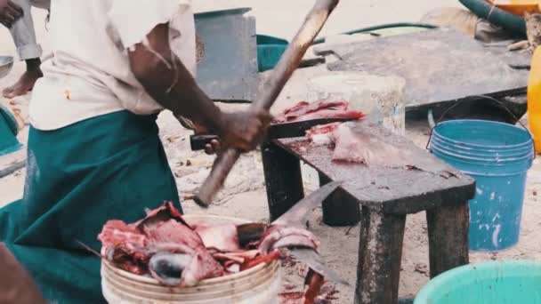 Lokala afrikanska fiskare skär fångad fisk på fiskmarknaden vid Ocean Beach, Zanzibar — Stockvideo