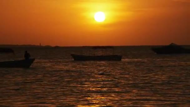 Silhouette de bateaux de pêche ancrés au coucher du soleil dans l'océan Indien, Zanzibar — Video