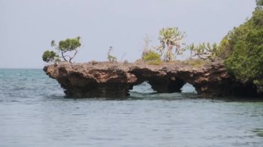 Menai Körfezi 'ndeki Kwale Adası' nda Lagoon, Resifli ve Kayalıklı Mangrovlar, Zanzibar