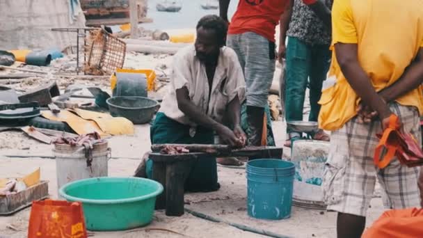 Pescadores africanos locales venden captura fresca en el mercado de pescado por Ocean Beach, Zanzíbar — Vídeo de stock