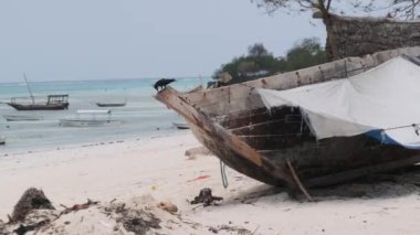 Afrika Geleneksel Tahta Teknesi Low Tide, Zanzibar 'daki kumsalda mahsur kaldı