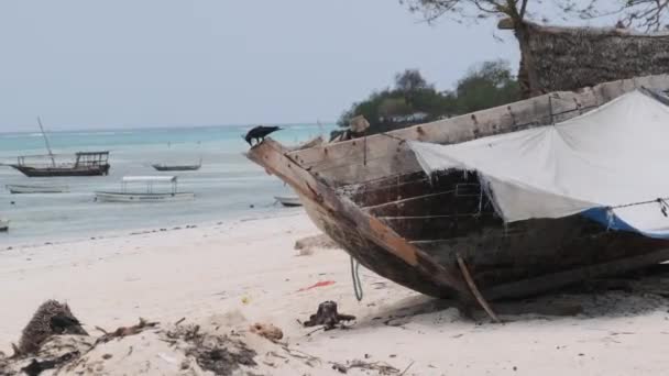 Barco de madeira tradicional africano encalhado na areia na praia na maré baixa, Zanzibar — Vídeo de Stock