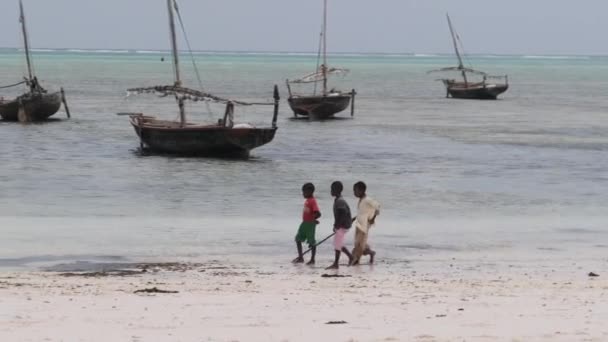 Afrikanische Jungen laufen bei Ebbe an der Küste entlang und suchen Meeresfrüchte — Stockvideo