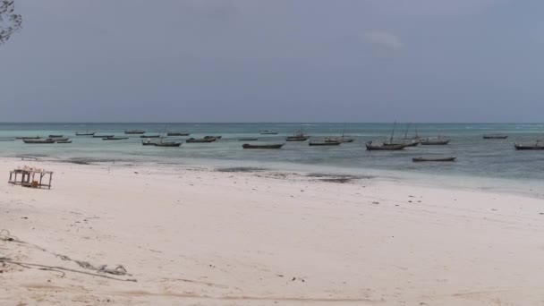 Sok afrikai hagyományos fahajó horgonyzott sekély Ocean Beach Zanzibar — Stock videók