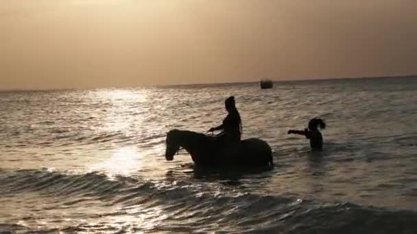 Silueta žen na koni při západu slunce, Zanzibar — Stock video
