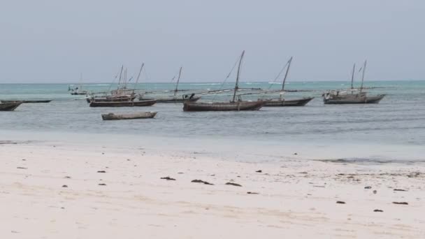 オーシャンビーチザンジバルの浅瀬に停泊するアフリカの伝統的な木製ボート — ストック動画