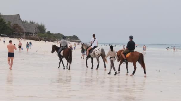 A caballo montando en una playa tropical a lo largo de la costa del océano, Zanzíbar — Vídeos de Stock