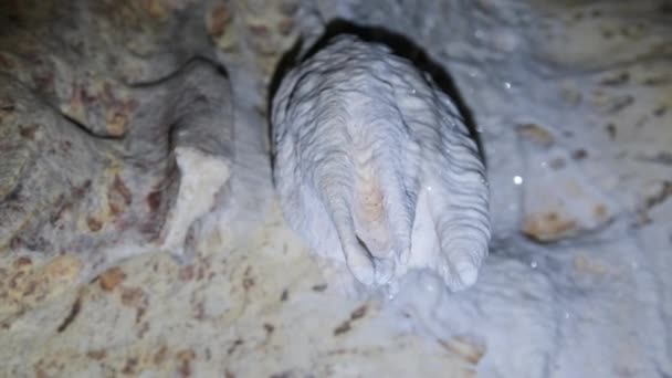 Cueva subterránea con formaciones de roca de estalactita colgando del techo de la cueva de gemelos — Vídeos de Stock