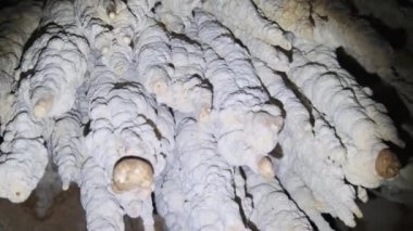 İkiz Mağara Tavanından sarkan Sarkık Kaya oluşumlarıyla Yeraltı Mağarası