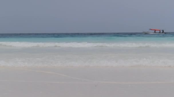 Море плавает в бирюзовой океанской воде на пляже Paradise Sandy Beach. Занзибар. — стоковое видео