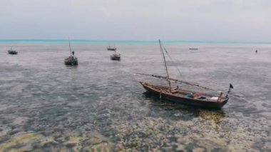 Low Tide 'da, Zanzibar' da, Kum Kıyısında Kum Tekneleri Sıkıştı