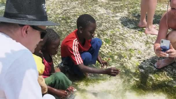 Local African boys in shallow ocean water play with fish with tourists, low tide — Stock Video