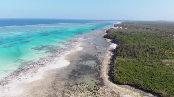 Tropiska kusten och barriärrev i Ocean Sandbanks Low Tide Zanzibar antenn View — Stockvideo