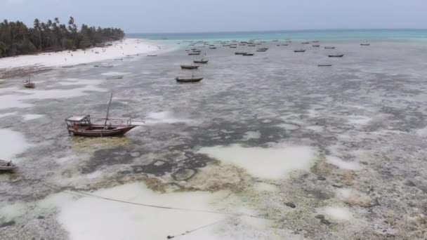 Lote barcos de pesca atrapados en la arena frente a la costa en marea baja, Zanzíbar, Vista aérea — Vídeos de Stock