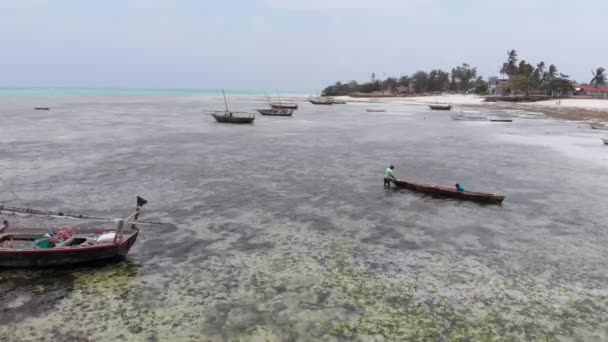 Lot Fishing Boats Stuck in Sand off Coast at Low Tide, Zanzibar, Aerial View — стокове відео