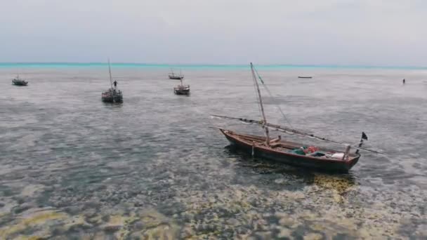 Lot fiskebåtar fast i Sand utanför kusten vid Low Tide, Zanzibar, Flygfoto — Stockvideo