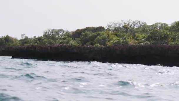 Lagune de l'île de Kwale dans la baie de Menai, Mangroves avec récifs et rochers, Zanzibar — Video
