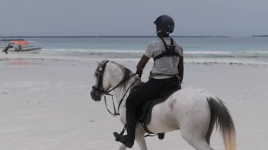Okyanus kıyısında Tropikal bir plajda ata binen at, Zanzibar