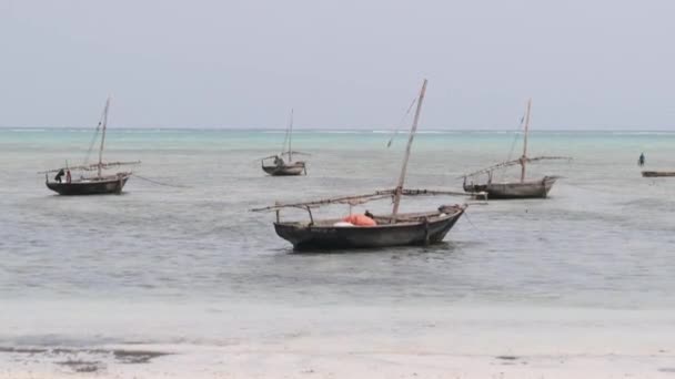 Sok afrikai hagyományos fahajó horgonyzott sekély Ocean Beach Zanzibar — Stock videók