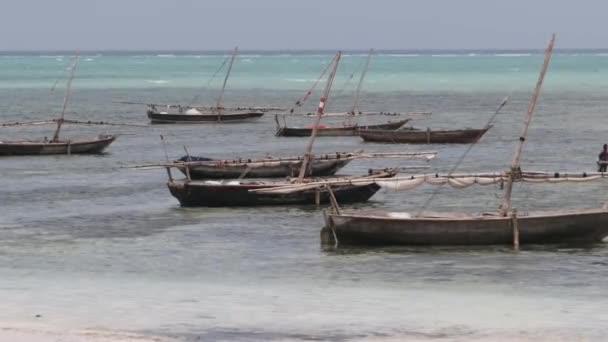 Lot African Traditional Wooden Boats Anchored on Shallow by Ocean Beach Zanzibar — Stock Video