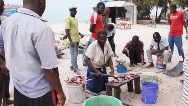 Místní afričtí rybáři prodávají čerstvé úlovky na rybím trhu u Ocean Beach, Zanzibar — Stock video