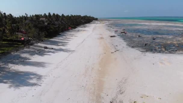 Spousta rybářských lodí uvízlých v písku u pobřeží při odlivu, Zanzibar, letecký pohled — Stock video