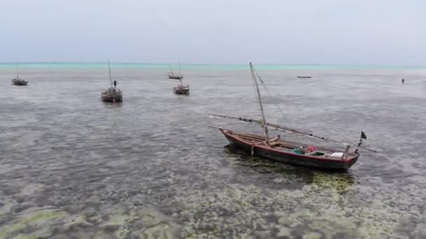 Viele Fischerboote stecken bei Ebbe vor der Küste im Sand, Sansibar, Luftaufnahme — Stockvideo