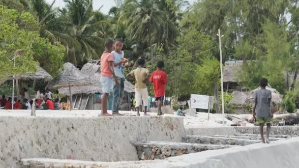 Afrikalı Çocukların Tropikal Sahilde Boş Zamanları, Birçok Yerel Çocuk Sahilde Yürüyor — Stok video