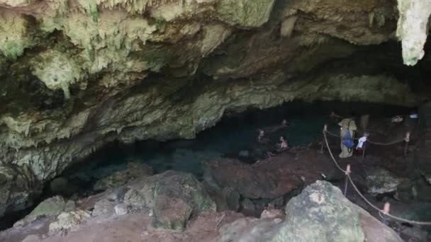 Scimmia Colobus rossa seduta sulla diramazione nella foresta tropicale di Jozani, Zanzibar, Africa — Video Stock