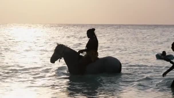 Équitation sur une plage tropicale le long de l'eau de l'océan au coucher du soleil, Zanzibar — Video