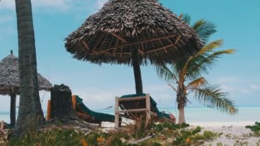 Ocean, Zanzibar 'ın Sandy Tropical Plajında Thatched Şemsiyeleri ve Güneş Salonları