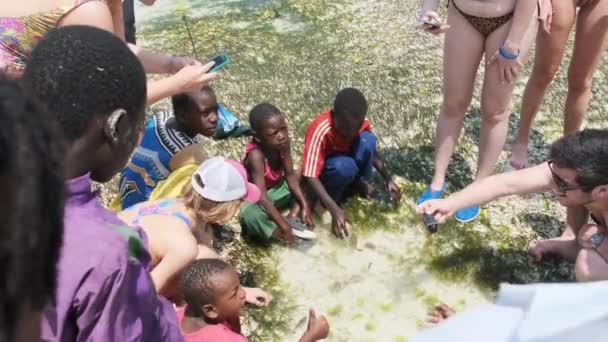 Místní afričtí chlapci v mělkém oceánu vody hrát s rybami s turisty, odliv — Stock video