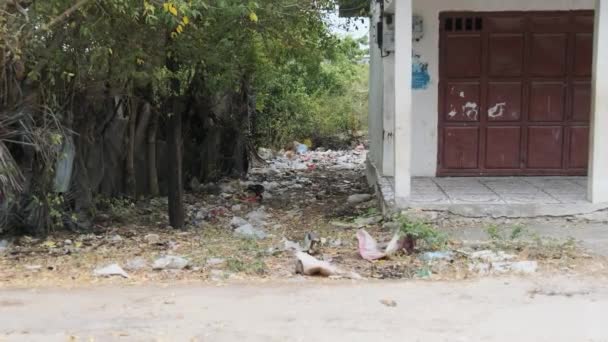 Skräp i Afrika Ligger nära hus i den fattiga tropiska byn, skräp, Zanzibar — Stockvideo